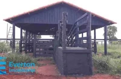 Fazenda de 39,8 alqueires em campina verde com 79 % aproveitamento pecuária de corte