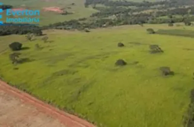 Fazenda de 16,91 alqueires em uberlândia, tapuirama: estrutura completa para sua atividade rural!