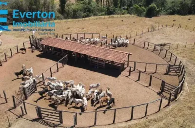 Fazenda de 80 alqueires em araguari-mg: pecuária de corte, sede aconchegante, curral completo e muito mais! venha conhecer!