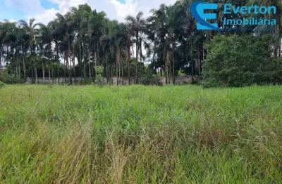 Excelente terreno de 2000 m², bem localizado em rua bem localizada