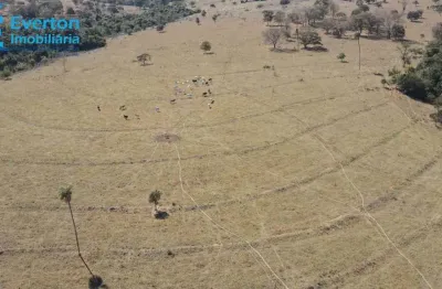 Fazenda com 58,62 alqueires ou seja 283,72 hectares no municipio de verissimo - mg.