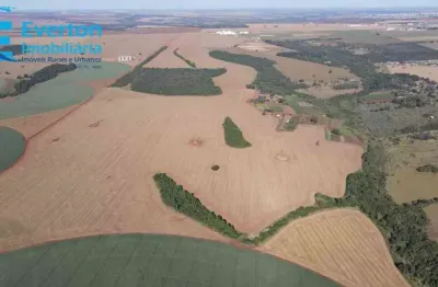 Fazenda de 45,95 alqueires em área rural de uberlândia-mg - oportunidade única!