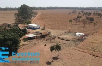Fazenda em monte Alegre de Minas com 98.79 hectares - 20.41 alqueires ideal para lavoura, pecuaria de corte ou produção de leite.