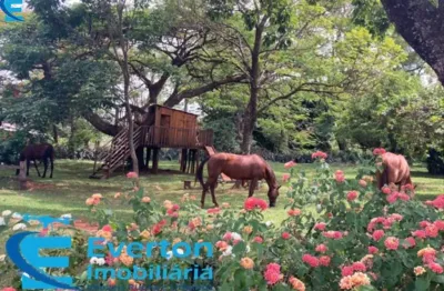 Sitio  no município de prata-mg aproximadamente 38 hectares.
