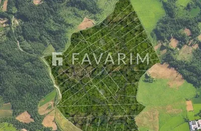 Terreno à venda na do felpudo, guabiroba, campo largo, 20000 m2 por r$ 700.000