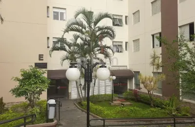 Apartamento com 3 quartos à venda na Avenida Parada Pinto, 737, Vila Nova Cachoeirinha, São Paulo