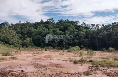 Terreno à venda na Via De Acesso Km 54rod Fernão Dias, Terra Preta, Mairiporã
