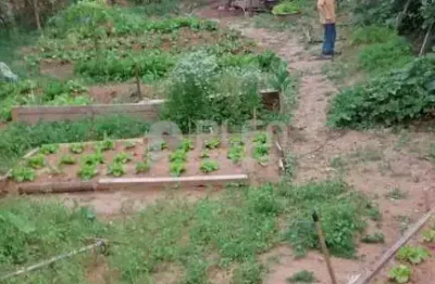 Terreno à venda na Rua Maria Lopes, 580, Vila Rosa, São Paulo