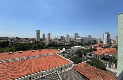 Apartamento padrão para locação, vila mazzei, são paulo, sp