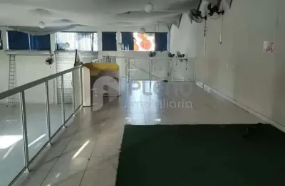 Galpão logístico para locação, vila albertina, são paulo, sp