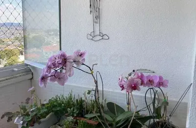 Apartamento à venda, vila bela vista (zona norte), são paulo, sp