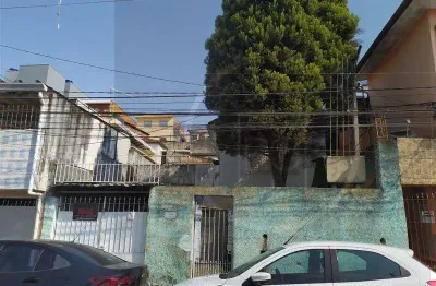 Terreno à venda em Vila Nova Cachoeirinha, São Paulo 