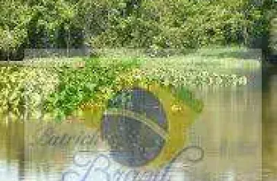 Casa de praia para venda em itanhaém, ila são paulo, 4 dormitórios, 4 suítes, 7 banheiros, 10 vagas