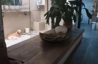 Casa com 3 quartos à venda na Rua Guararapes, Brooklin, São Paulo