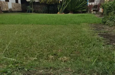 Casa com 5 quartos à venda na Cidade Nobre, Ipatinga 
