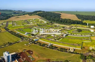 Terreno à venda no bairro loteamento santa marta - ribeirão preto/sp, zona sul