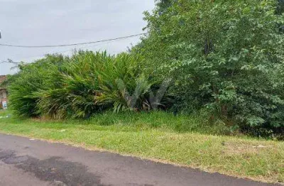 Terreno à venda na rodovia br-116, --, ideal, novo hamburgo por r$ 350.000