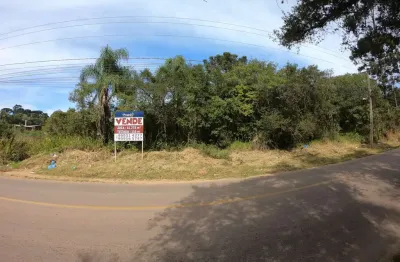 Oportunidade imperdível: área comercial de 41.268m² à venda em curitiba-pr, bairro caximba. confira já!