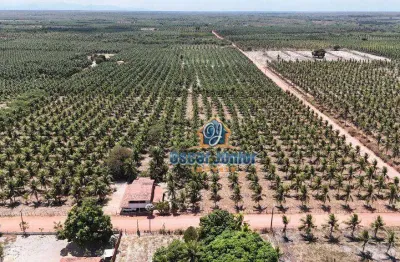Belíssimo terreno à venda, 40.000 m² por r$ 630.000 - lagoinha 2ª estapa - paraipaba/ce