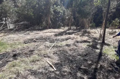 Terreno à venda na Rua do Jatobá, São Dimas, Colombo