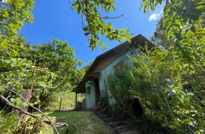 Chácara / sítio com 3 quartos à venda na Rua Rio Branco, 8930, Zona Rural, Taquara