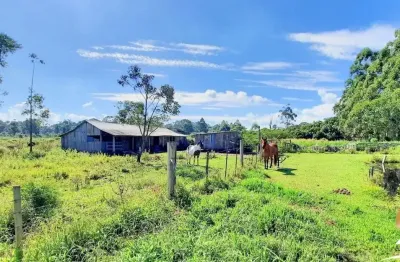 Chácara / sítio com 4 quartos à venda na Rodovia Tapir Rocha - km 28, 100, Águas Claras, Viamão