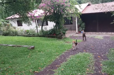 Chácara / sítio com 5 quartos à venda na Avenida Brasil, 5000, Zona Rural, Portão