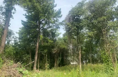 Chácara / sítio à venda na Rua Rio Branco, 90000, Zona Rural, Taquara