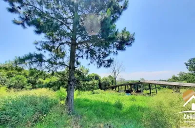 Sítio de 2 hectares com matrícula à venda – águas claras, viamão/rs
