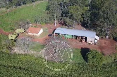 Fazenda à venda, 50 alqueires, água do cerne, sertanópolis - pr