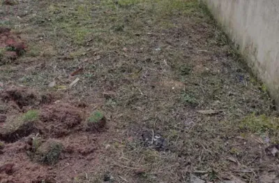 Terreno à venda na rua. josé pontaldi, 1, centro, penha, 319 m2 por r$ 650.000