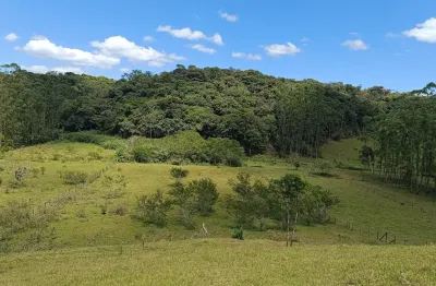 Terreno industrial rua calçada divisa blumenau com pomerode