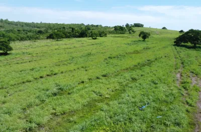 Vendo fazenda de 814 hectares em nossa senhora do livramento/mt