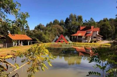 Sítio à venda, 110000 m² por r$ 2.250.000,00 - vila germania - nova petrópolis/rs