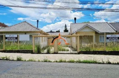 Terreno à venda, 600 m² por r$ 954.000,00 - vila ipiranga - porto alegre/rs