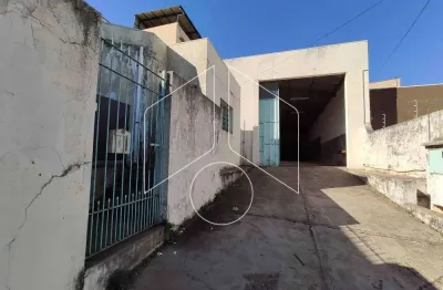 Barracão / Galpão / Depósito à venda na Rua Palmares, 0, 10682, Boa Vista, Marília