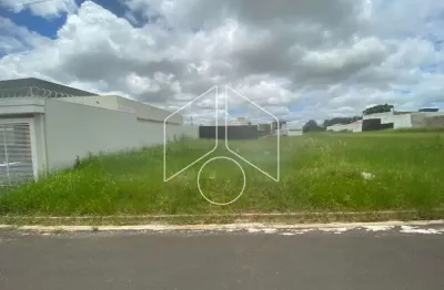 Terreno à venda na Rua Anesio Gualtieri, 1124, Sérgio Roim (Padre Nóbrega), Marília