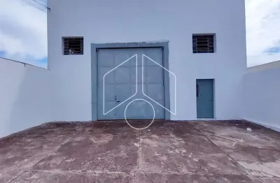 Barracão / Galpão / Depósito à venda na Rua Doutor Daniel dos Santos, 5072, Jardim Morumbi, Marília