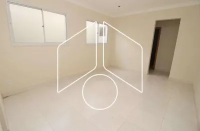 Apartamento com 2 quartos à venda na Rua Vinte e Quatro de Dezembro, 90476, Alto Cafezal, Marília