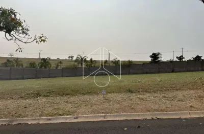 Terreno à venda na Avenida João Procópio da Silva, 54, Jardim Esmeralda, Marília