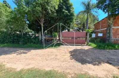 Chácara / sítio com 3 quartos à venda na Avenida Sampaio Vidal, 10970, Padre Nóbrega, Marília