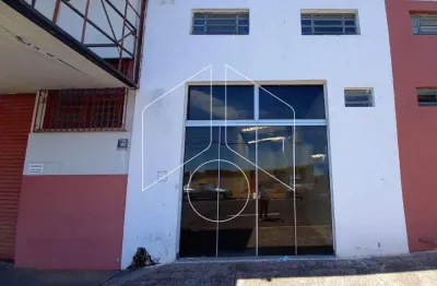 Barracão / Galpão / Depósito à venda na Avenida República, 402068, Núcleo Habitacional Castelo Branco, Marília