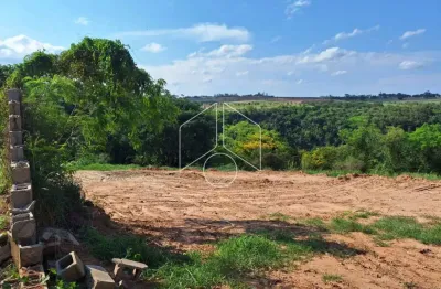 Chácara / sítio à venda na Rua Antônio Quirino da Paixão, 65, Parque Serra Dourada, Marília