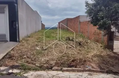 Terreno à venda na Rua Doutor Manoel Peregrino da Silva, 68, Jardim Universitário, Marília