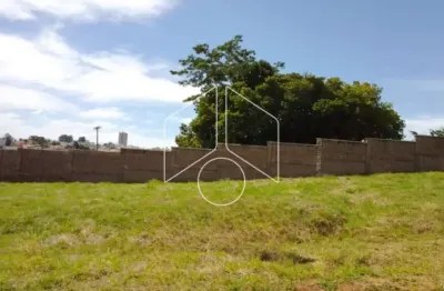 Terreno à venda na Rua José Guilherme Miranda, 10682, Jardim Tropical, Marília