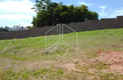 Terreno à venda na Rua Vera Lucia Braga, 10694, Jardim Tropical, Marília