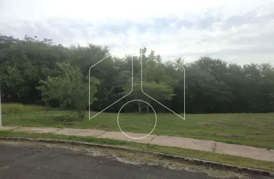 Terreno à venda na Rua Francisco Gotuzo Filho, 64, Centro (Rosália), Marília