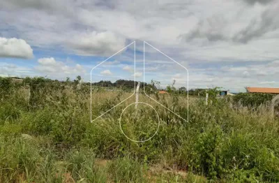 Chácara / sítio à venda na Avenida Sampaio Vidal, 70, Padre Nóbrega, Marília