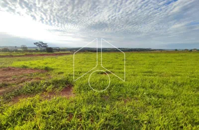 Terreno à venda na Avenida João Procópio da Silva, 58, Jardim Esmeralda, Marília