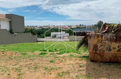 Terreno em condomínio fechado à venda na Rua José da Silva Matos, 30568, Jardim Tropical, Marília
